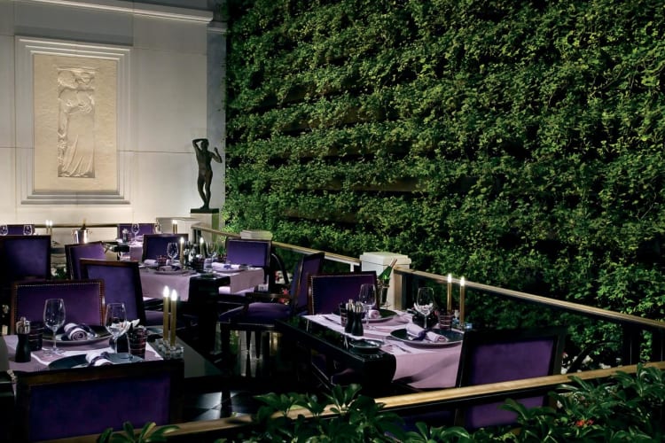 Joel Robuchon terrace